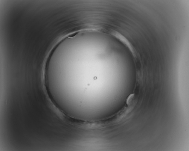 X0000089871099200707121750