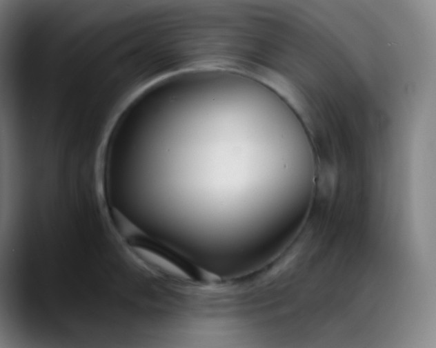 X0000089871102200707121750