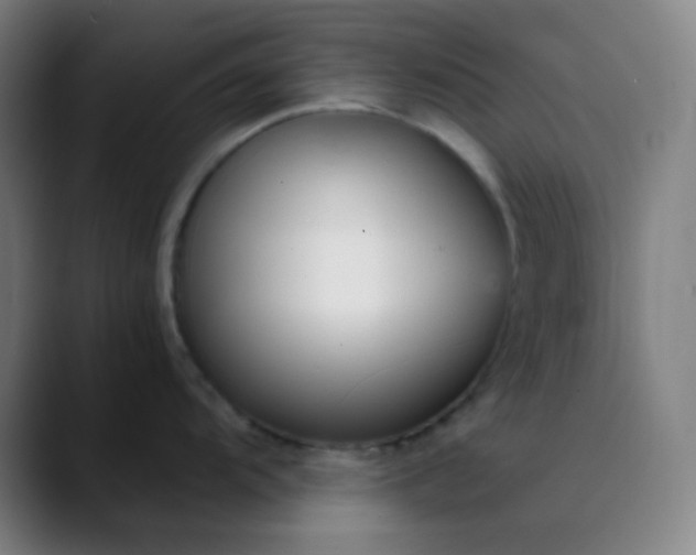 X0000089871104200707121750