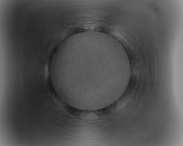X0000089871106200707121749