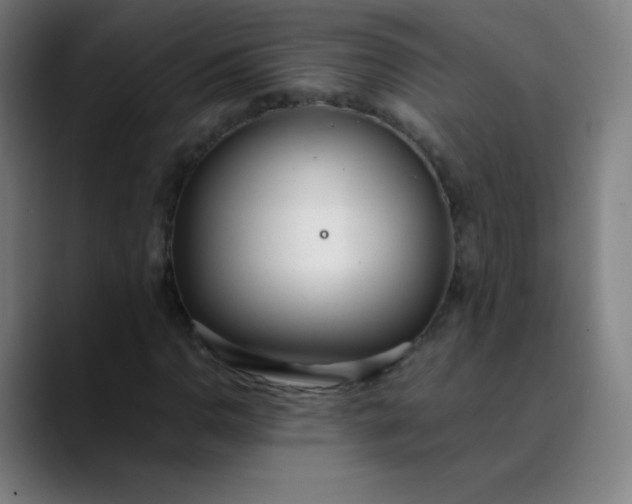 X0000089871110200707121749