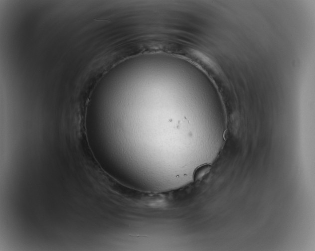 X0000089871111200707121749
