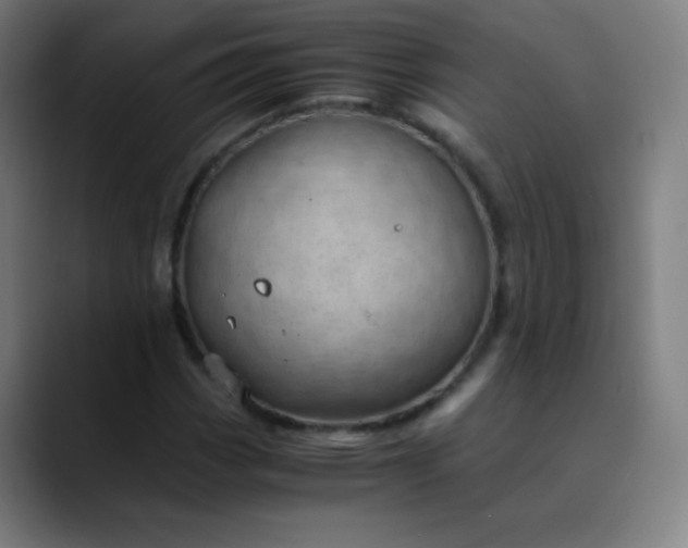 X0000089871113200707121749