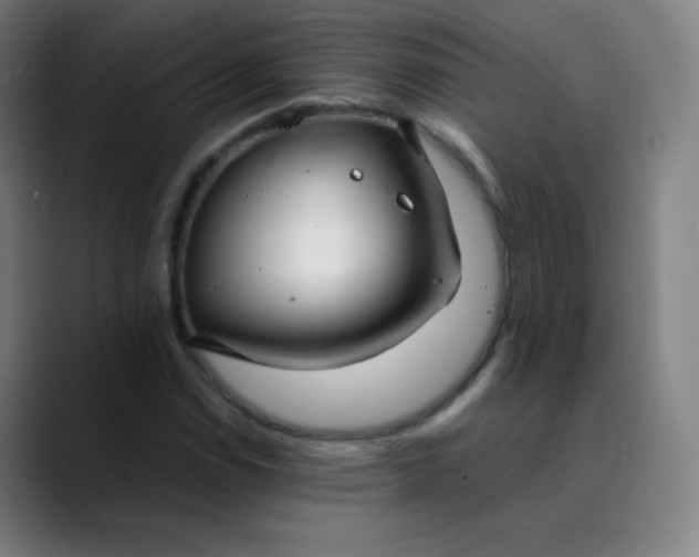 X0000089871114200707121749