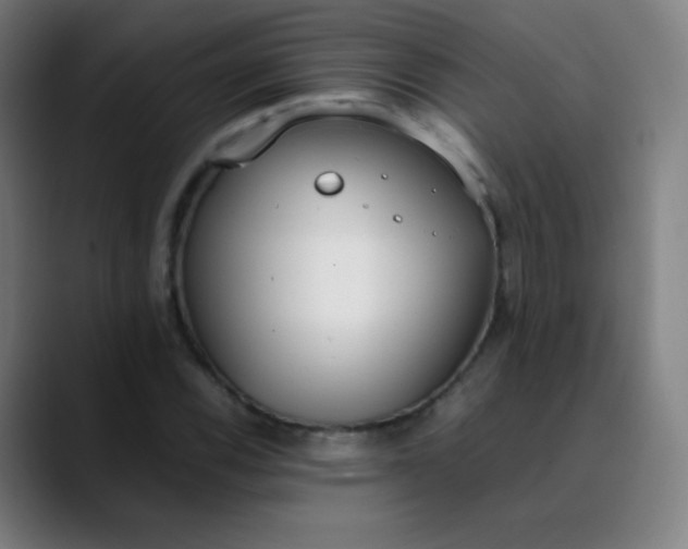 X0000089871116200707121749