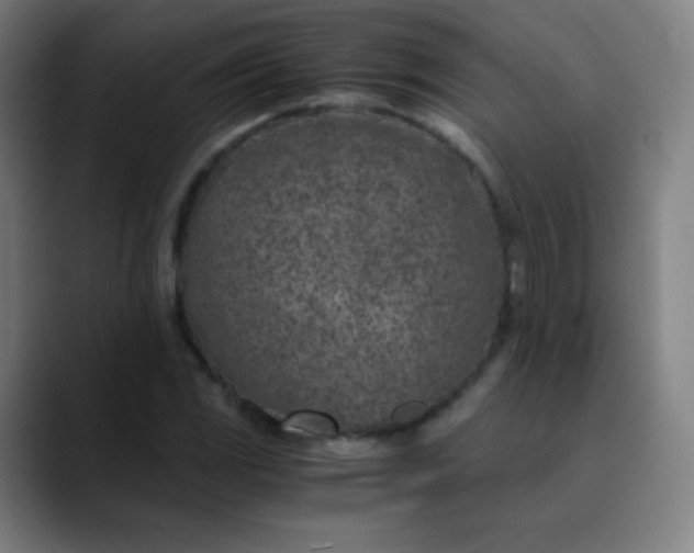 X0000089871117200707121749