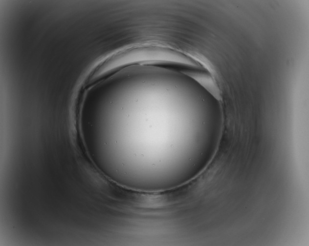X0000089871120200707121749