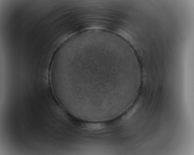 X0000089871121200707121749
