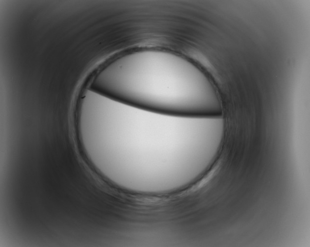 X0000089871122200707121749
