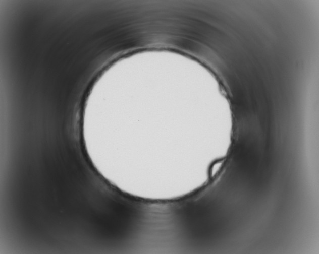 X0000089871126200707121749