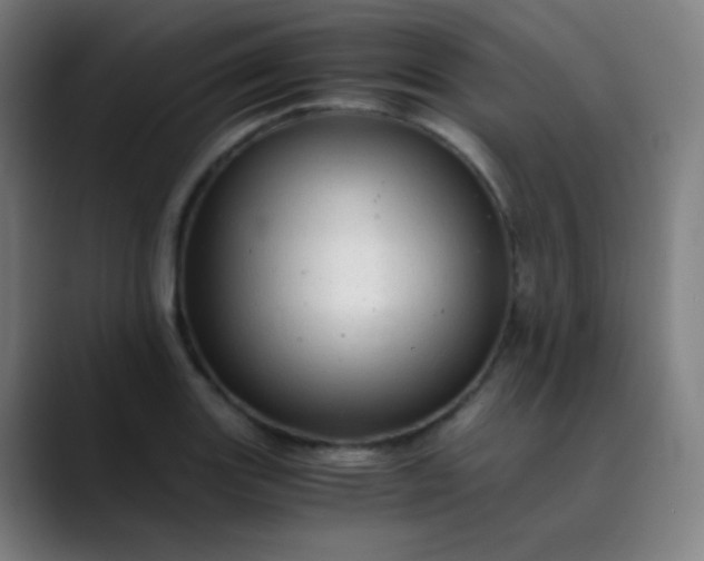 X0000089871131200707121749