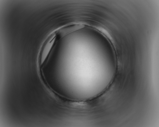 X0000089871133200707121749