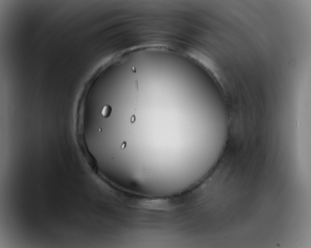 X0000089871135200707121749