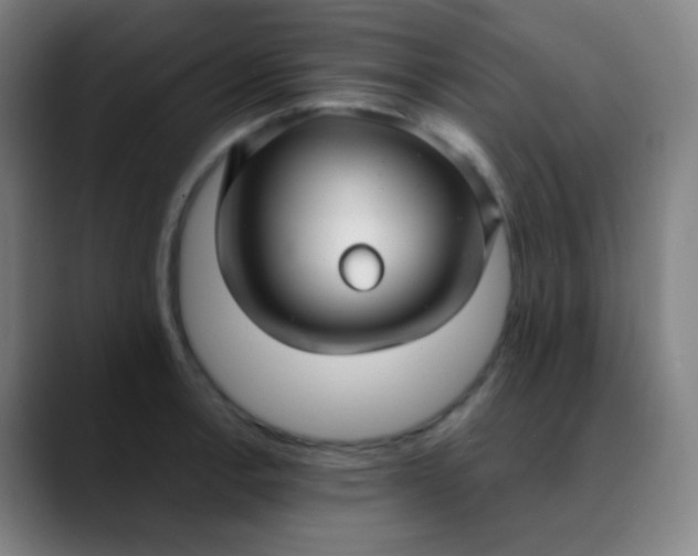 X0000089871138200707121749