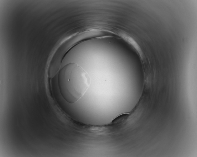 X0000089871146200707121749