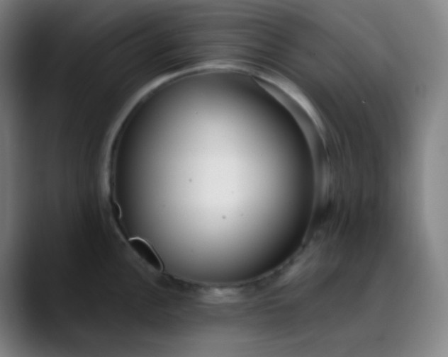 X0000089871148200707121749