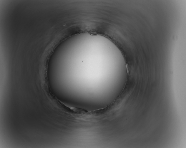 X0000089871153200707121749