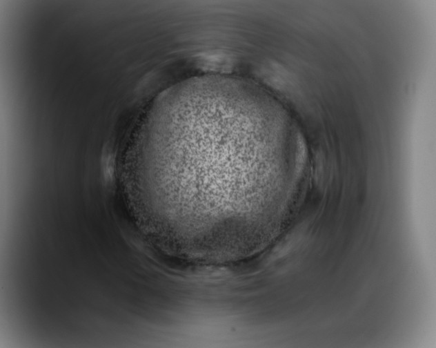 X0000089871154200707121749
