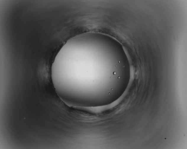 X0000089871156200707121749