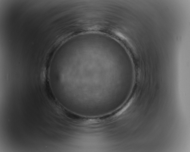 X0000089871161200707121749