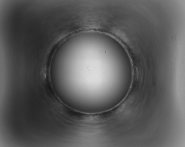 X0000089871165200707121749