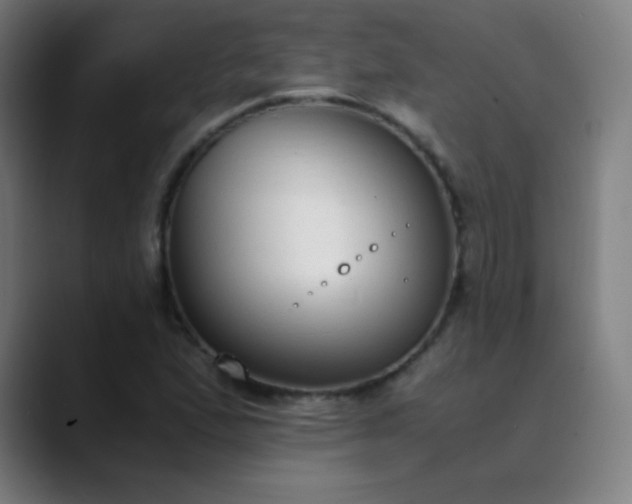 X0000089871167200707121749