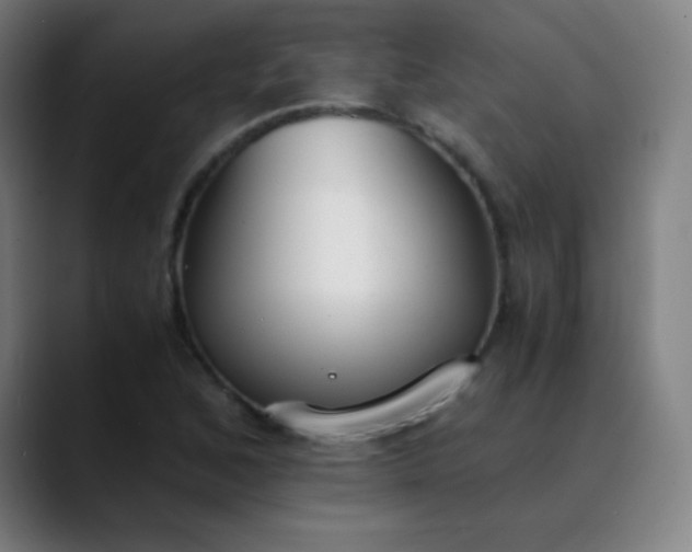 X0000089871168200707121749