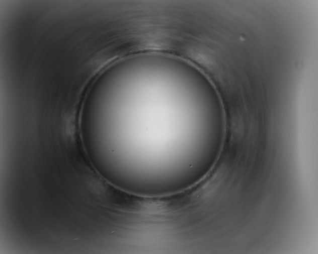 X0000089871170200707121749