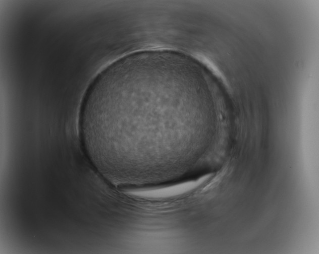 X0000089871173200707121749