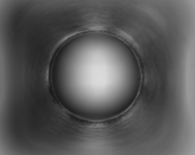 X0000089871174200707121749