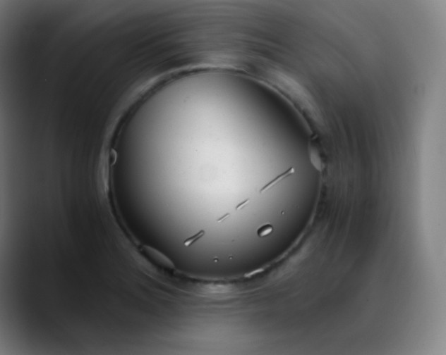 X0000089871180200707121749