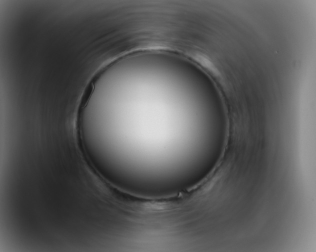 X0000089871181200707121749