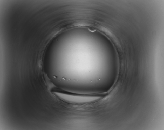 X0000089871185200707121749