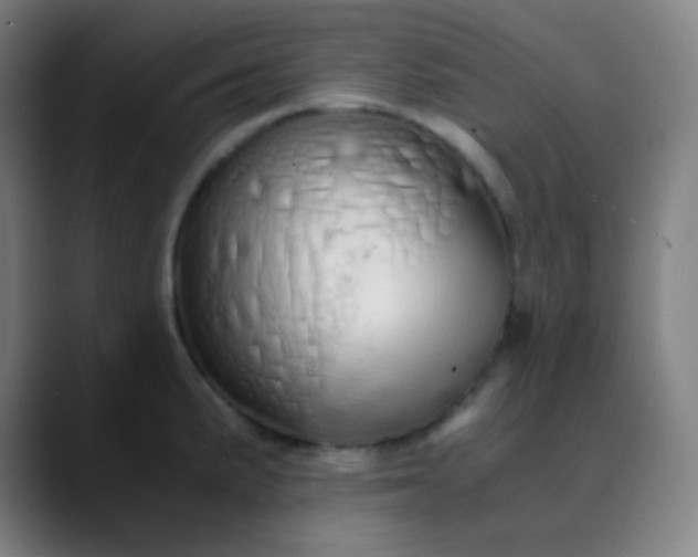 X0000089871191200707121749