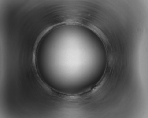 X0000089871196200707121748