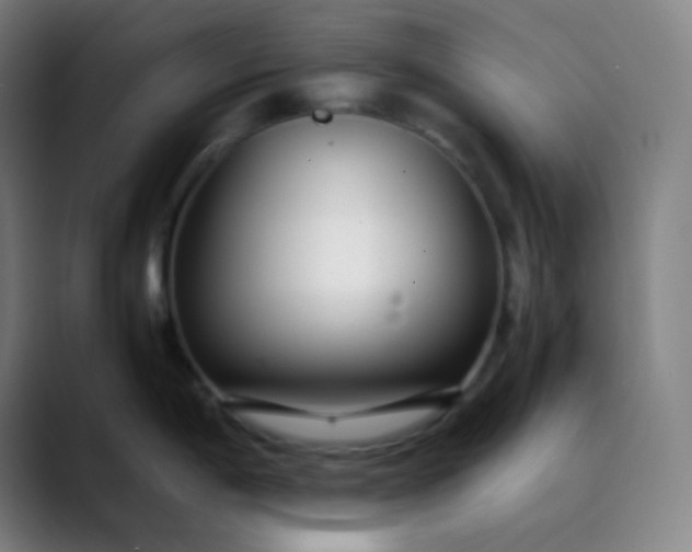 X0000089871198200707121748
