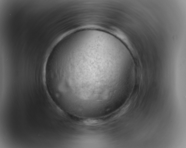 X0000089871199200707121748