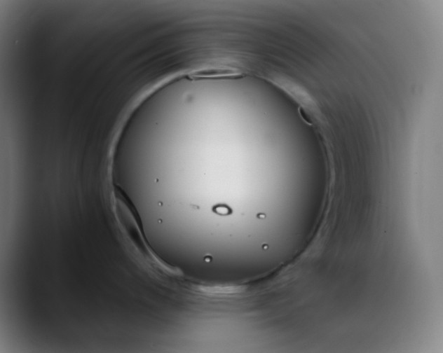 X0000089871200200707121748