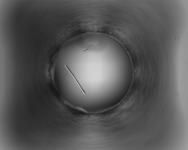 X0000089871202200707121748