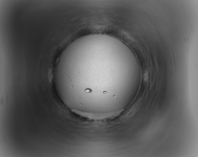 X0000089871204200707121748