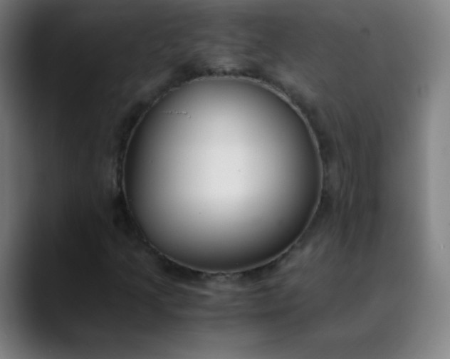 X0000089871205200707121748