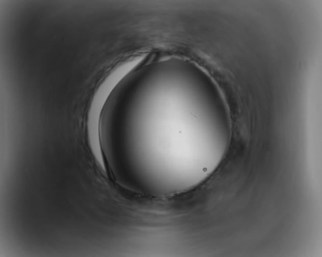 X0000089871206200707121748