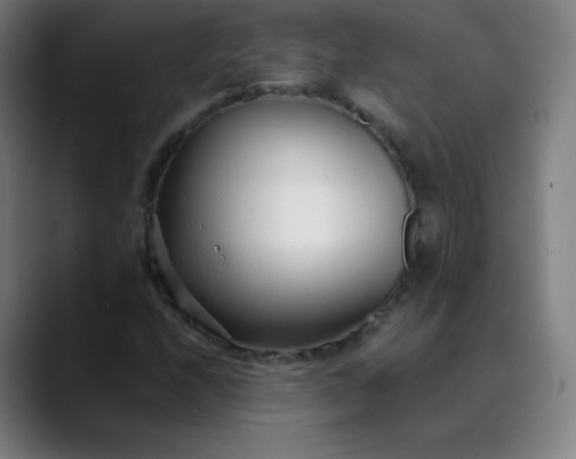 X0000089871208200707121748