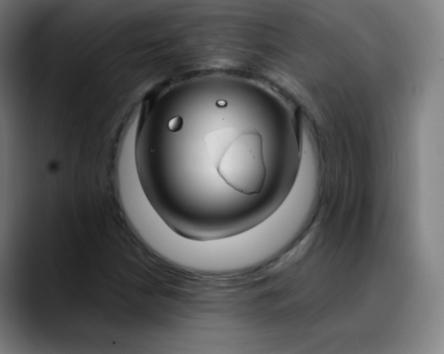 X0000089871210200707121748