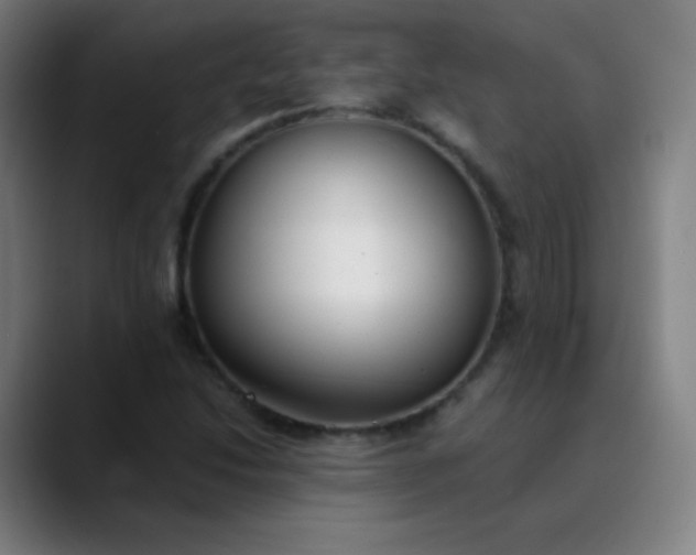X0000089871214200707121748