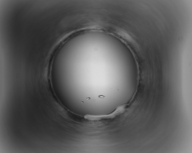 X0000089871216200707121748