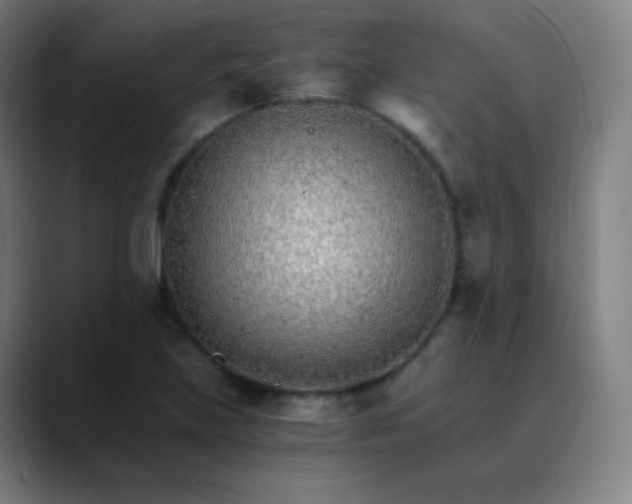 X0000089871219200707121748