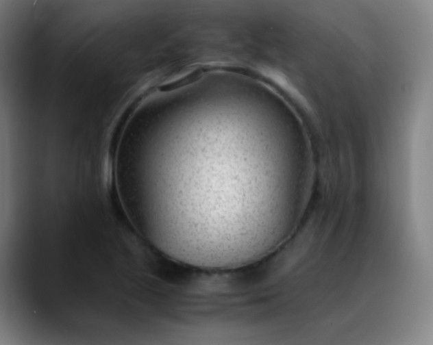 X0000089871221200707121748