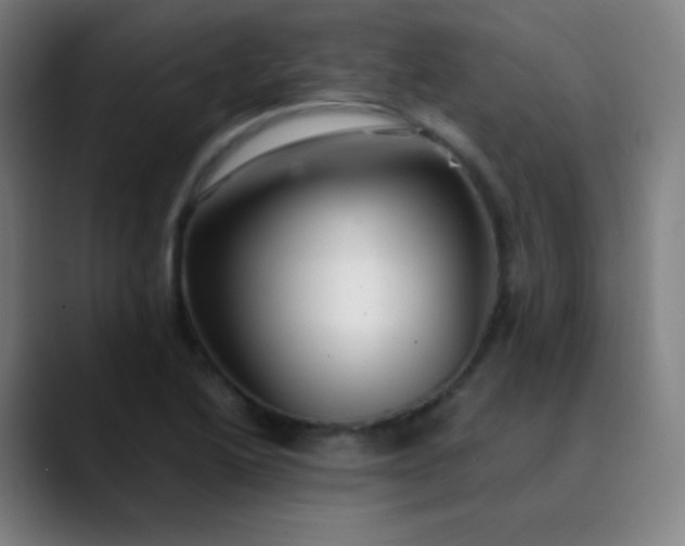 X0000089871222200707121748
