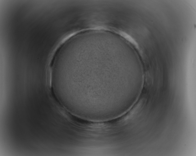 X0000089871223200707121748